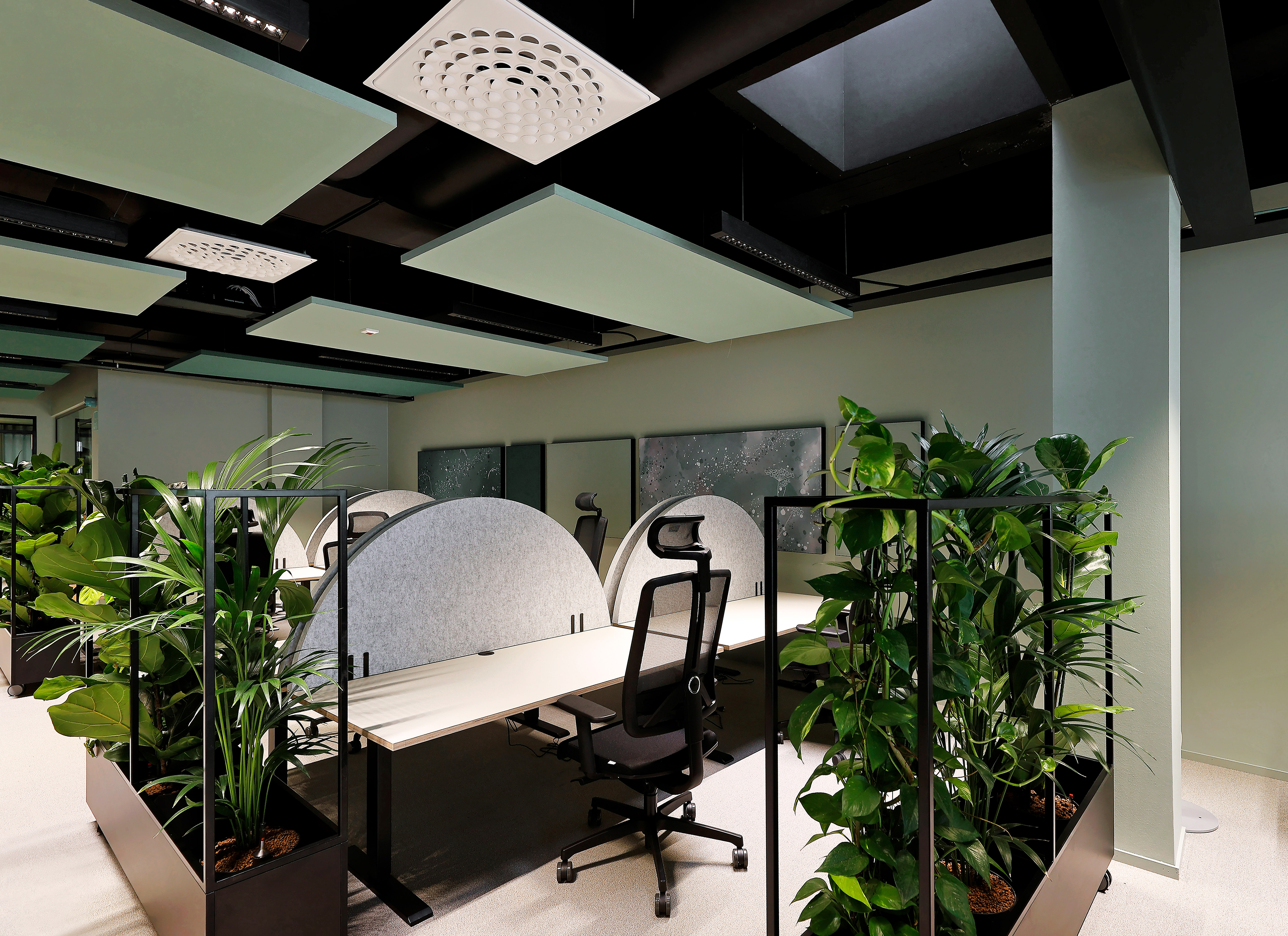 Modern office space with green floating ceiling panels, partitioned desks, ergonomic chair, and lush green plants, featuring ceiling panels and soft lighting.