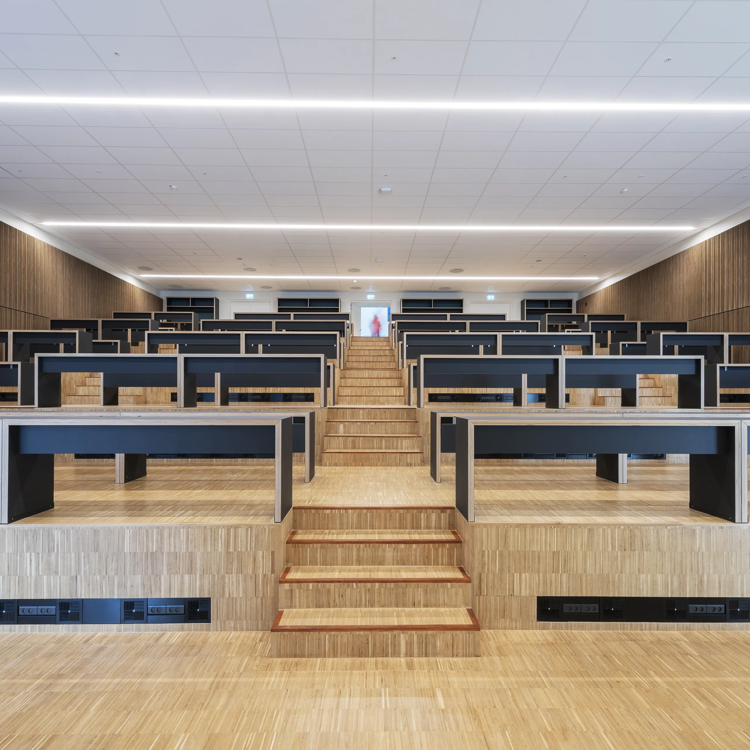 A spacious tiered lecture hall featuring a white acoustic ceiling tile grid, stepped timber flooring, black study benches, and integrated lighting