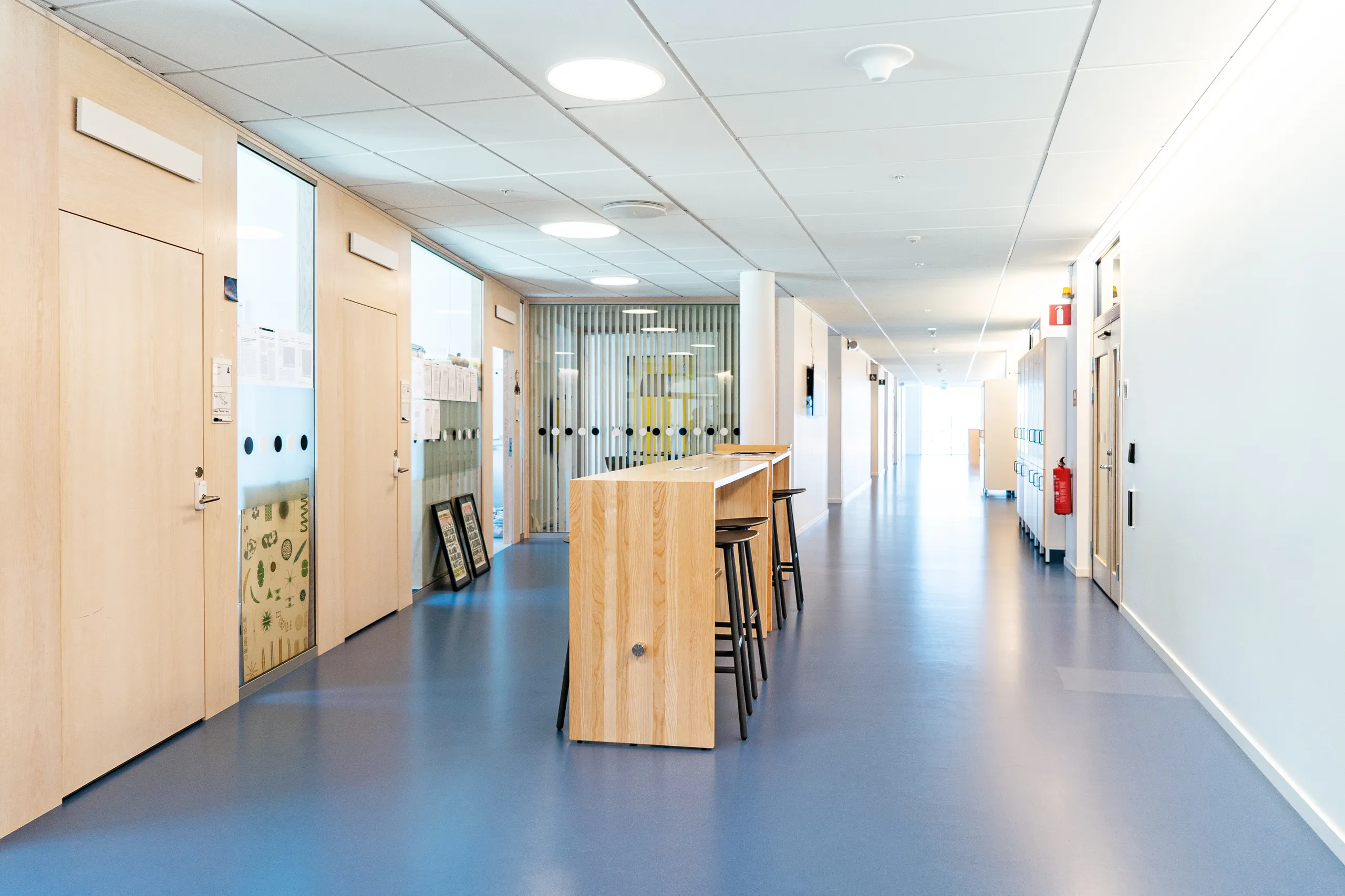 Linnaeus University Sustainable Campus Design|Case Studies