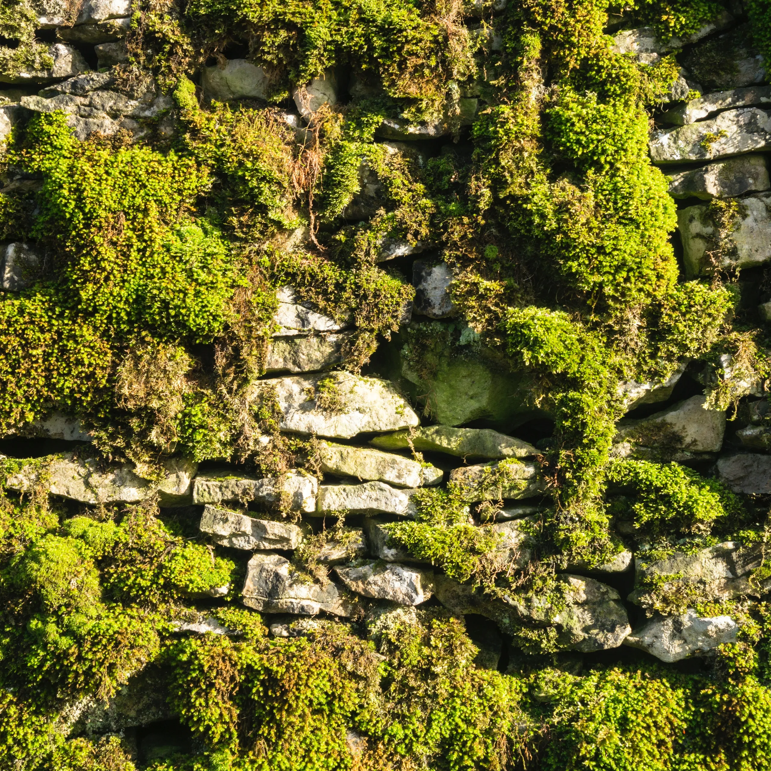 Cradle to Cradle Ceiling & Wall Acoustic Solutions | Rockfon