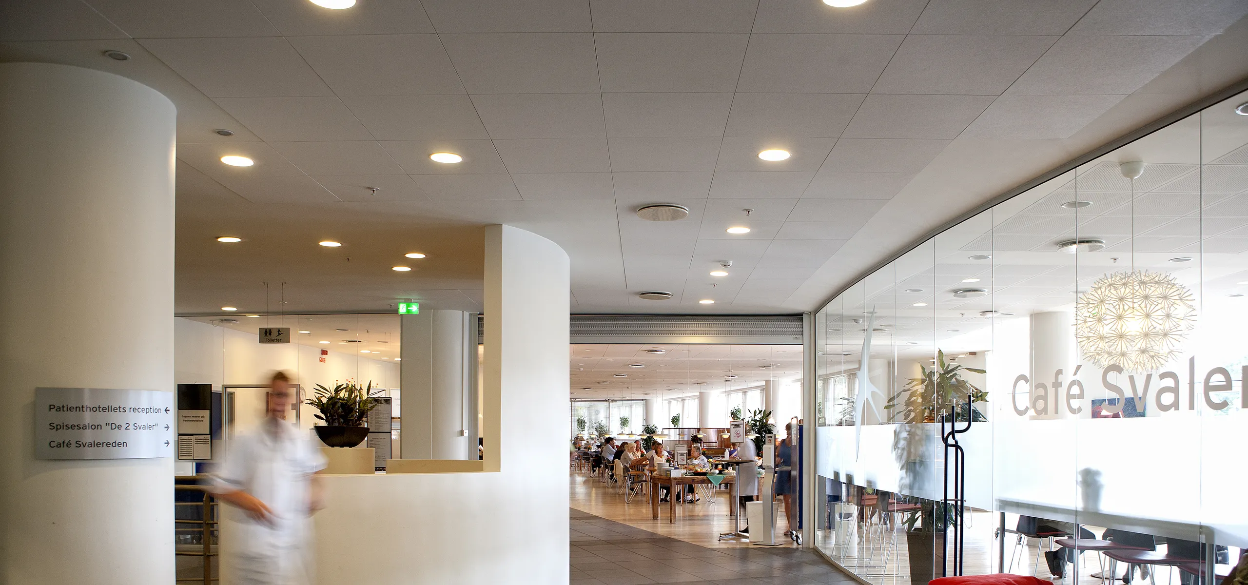 Acoustic Solutions for Hospital & Clinic Reception Areas | Rockfon