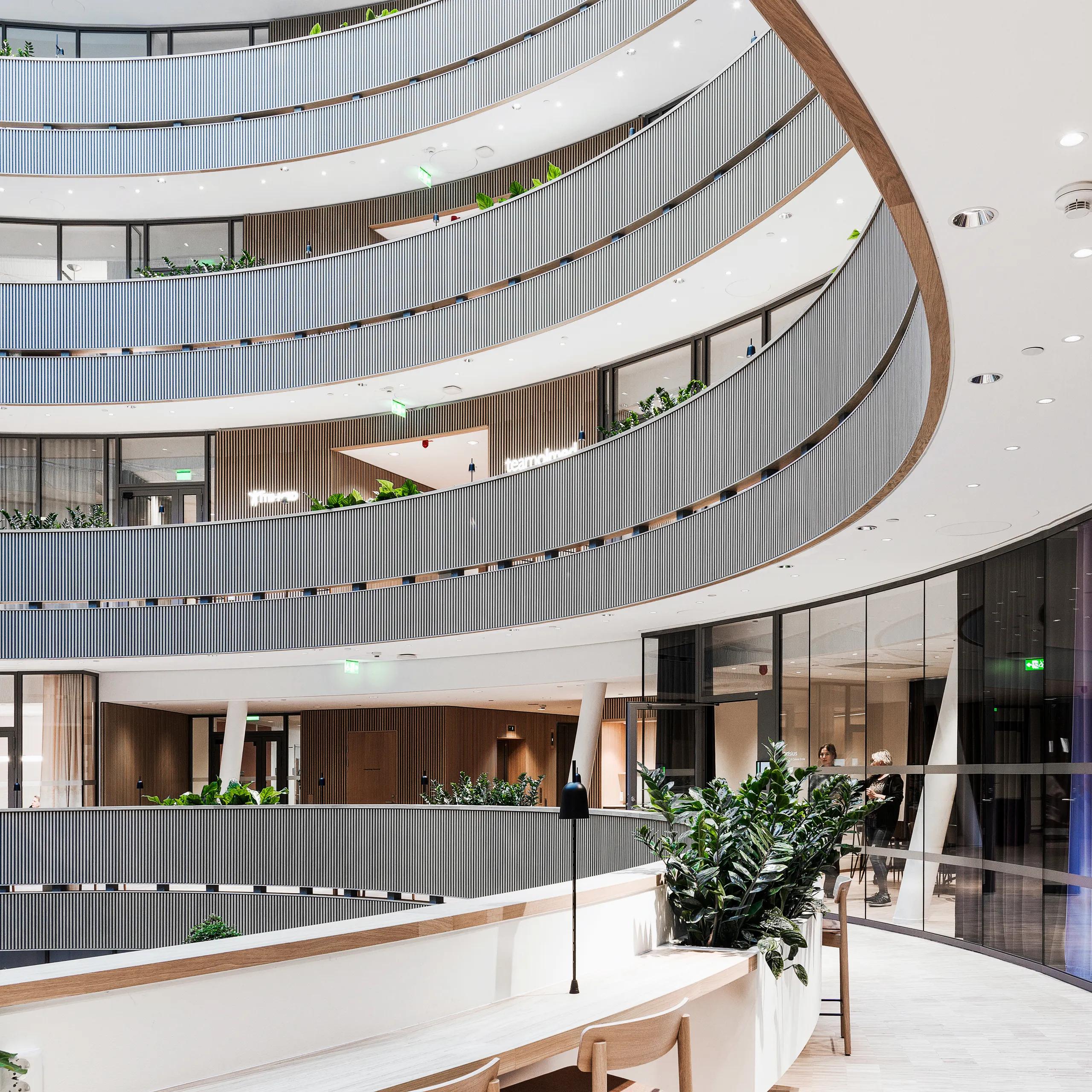 Office Circulation & Breakout Acoustics | Rockfon