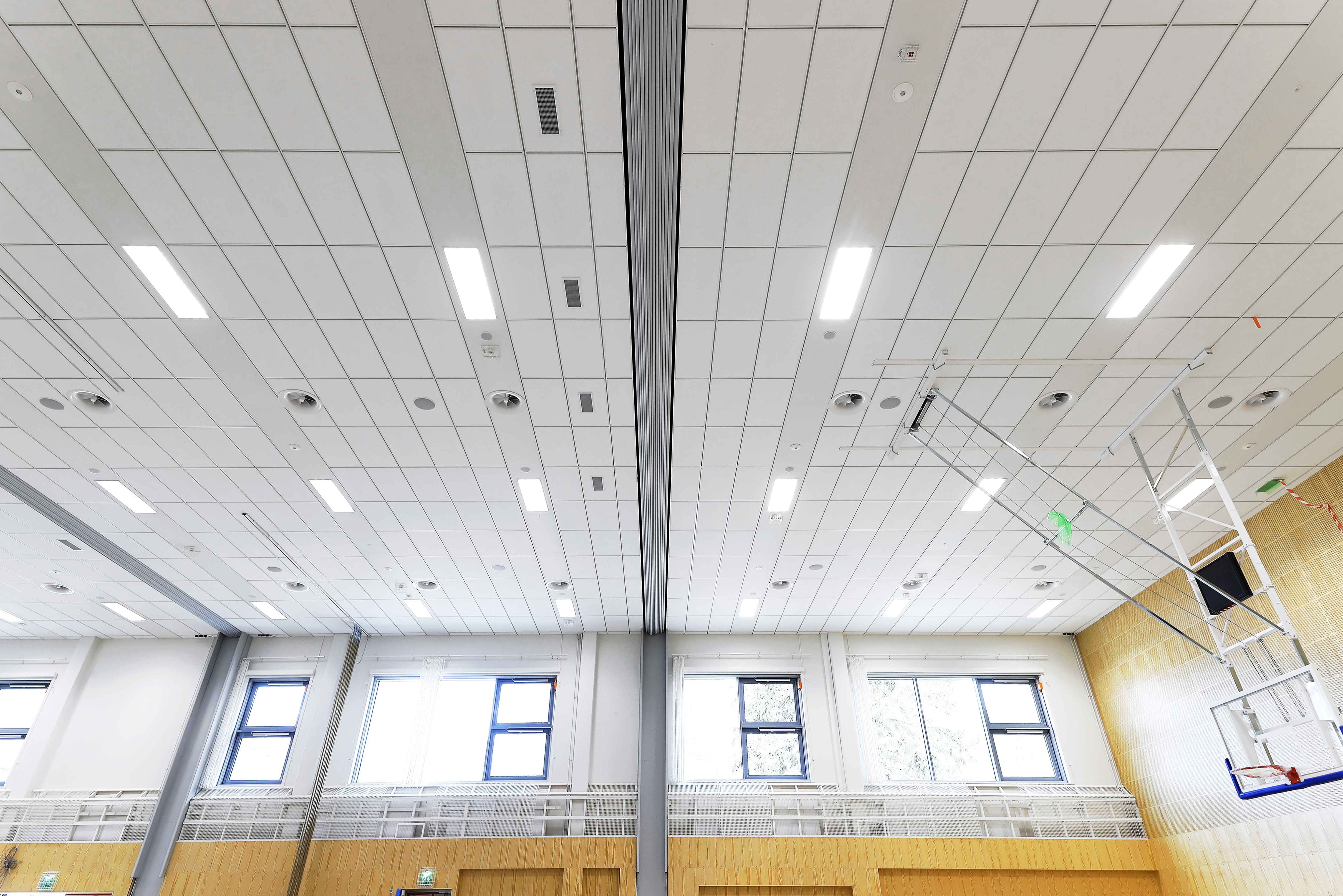 Rockfon® Boxer | Impact Resistant Acoustic Ceiling Tiles