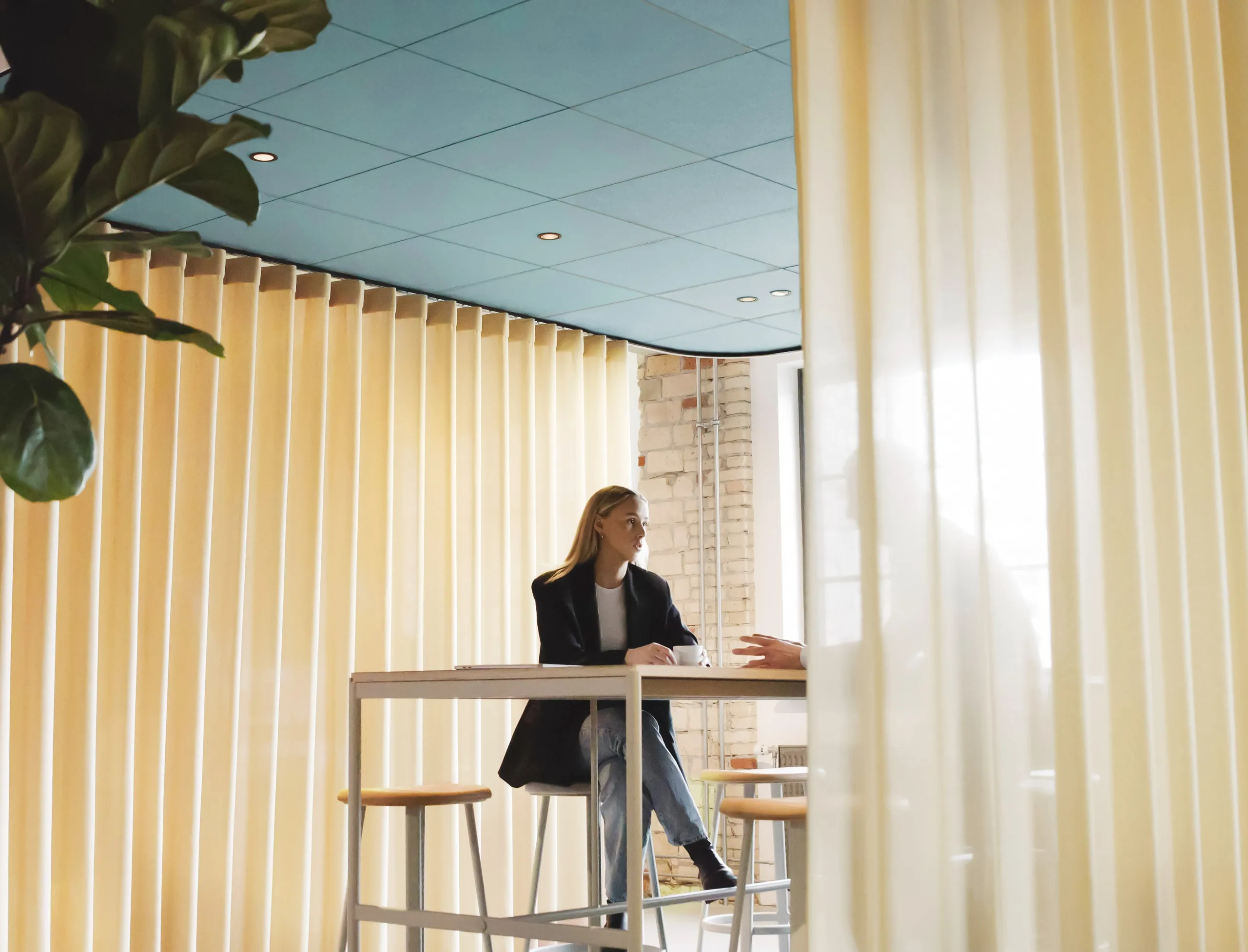 Your Expert Partner | Rockfon