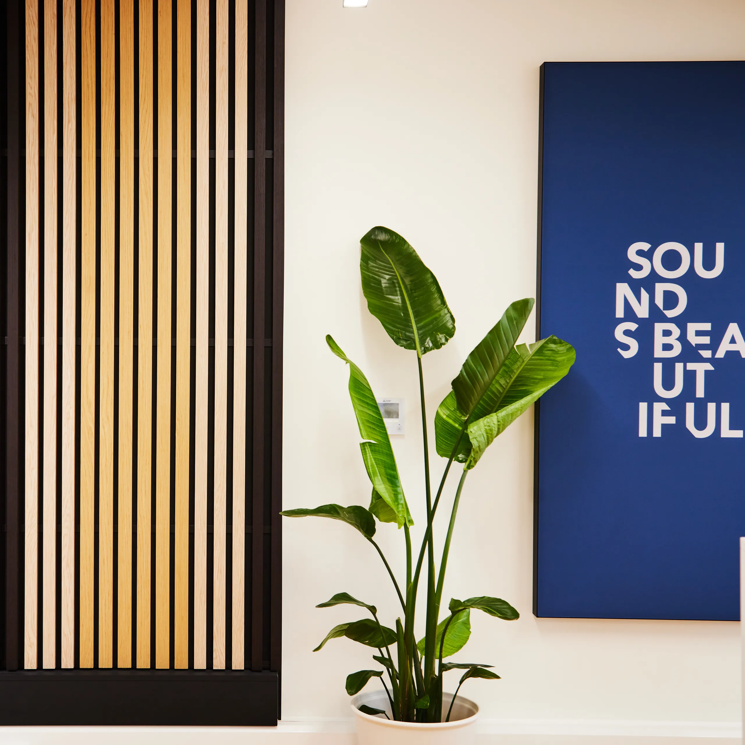 Detail view of Rockfon acoustic wall panels, floor screens, and hanging divider