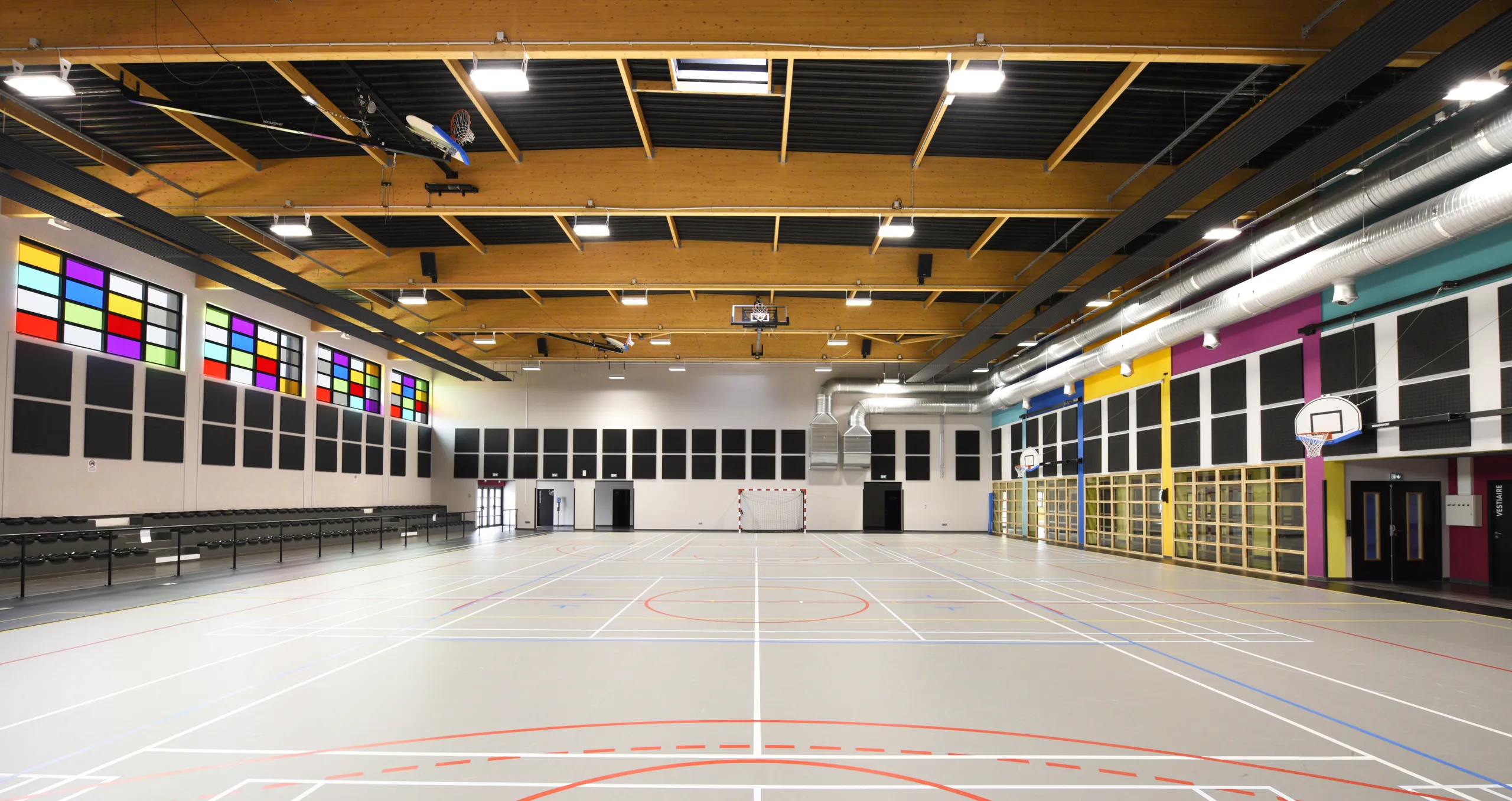 Acoustic Solutions for Gymnasiums | Rockfon