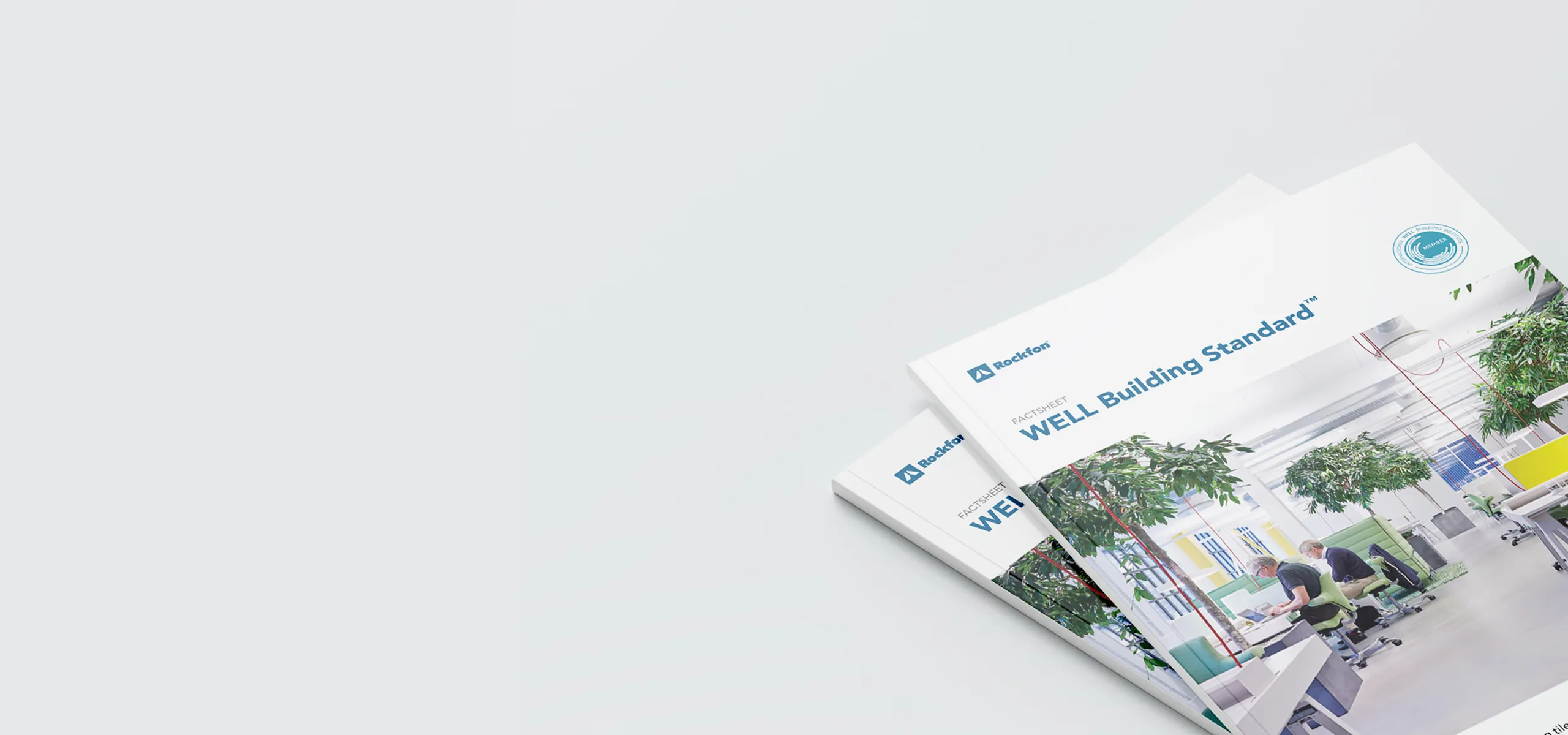 WELL Acoustic Ceiling & Wall Solutions | Rockfon