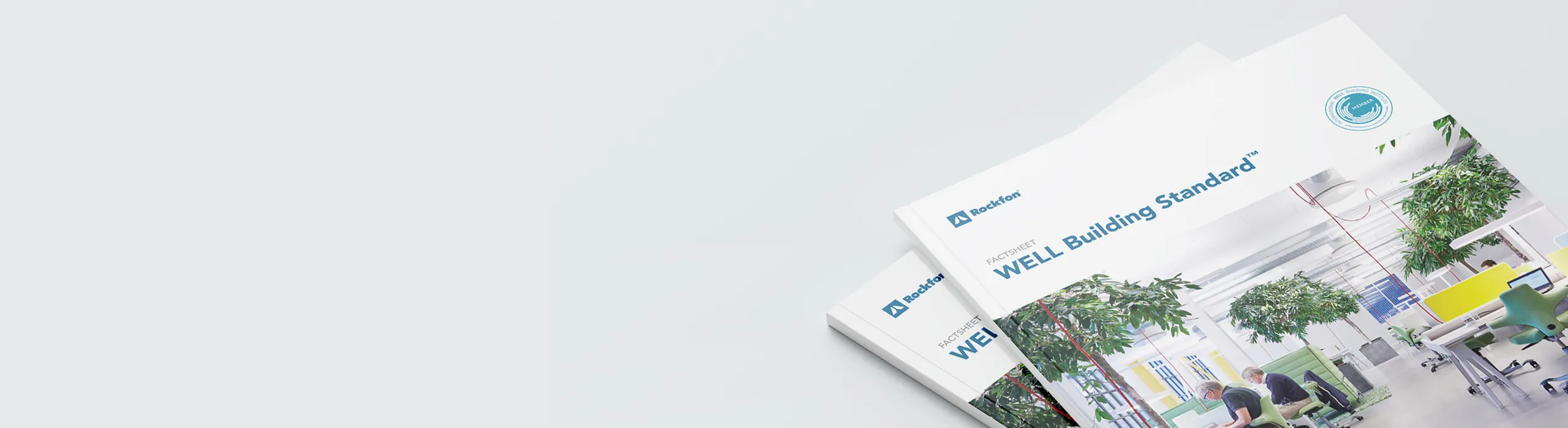 WELL Acoustic Ceiling & Wall Solutions | Rockfon