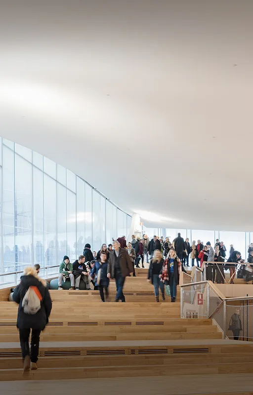 Rockfon: Leading Acoustic Solutions & Suspended Ceiling Systems