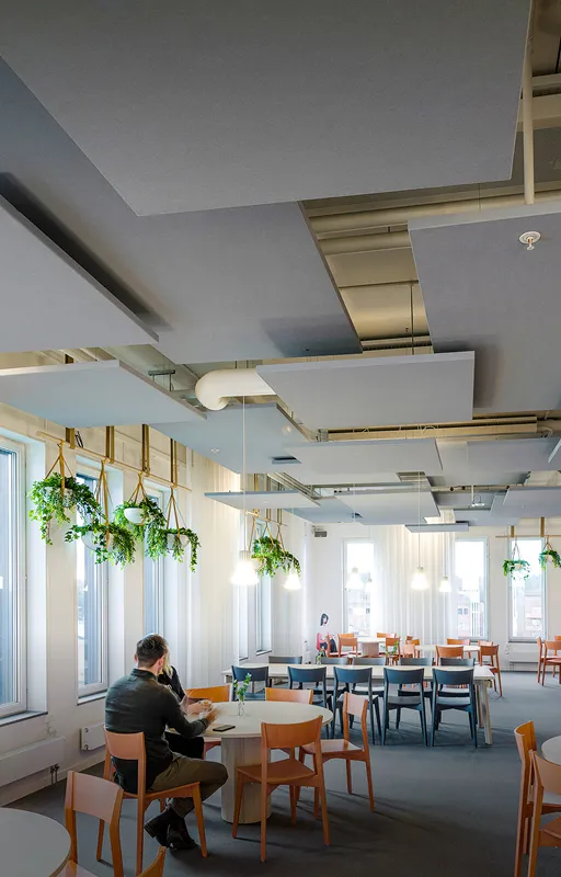 Rockfon: Leading Acoustic Solutions & Suspended Ceiling Systems