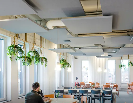 Rockfon: Leading Acoustic Solutions & Suspended Ceiling Systems