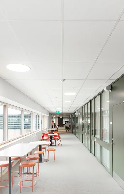 Rockfon: Leading Acoustic Solutions & Suspended Ceiling Systems