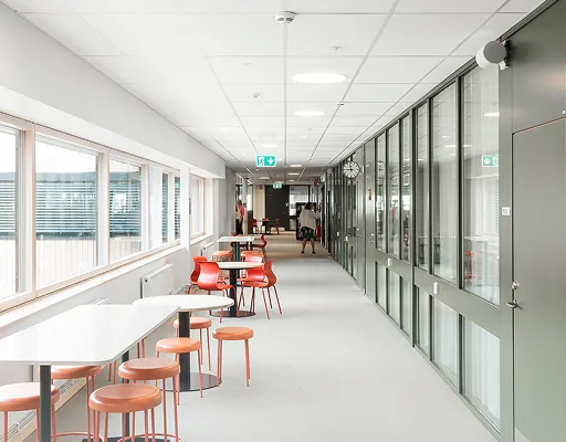Rockfon: Leading Acoustic Solutions & Suspended Ceiling Systems