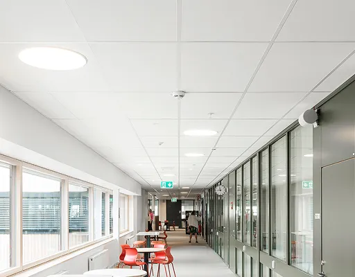 Rockfon: Leading Acoustic Solutions & Suspended Ceiling Systems