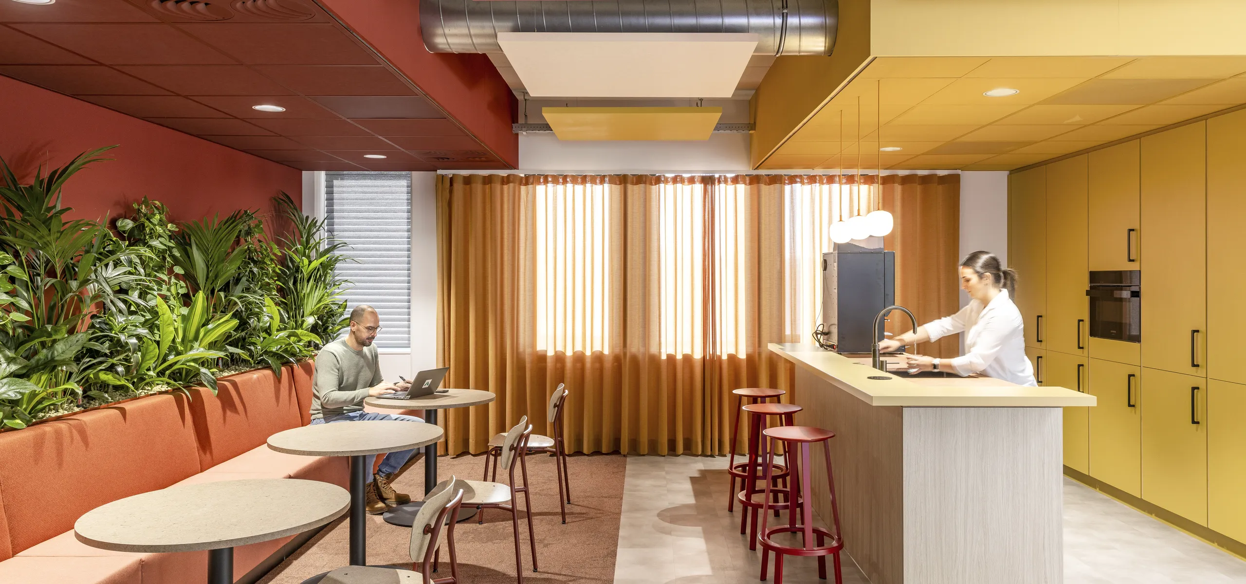 Office kitchen and breakout area with seating, plants, and suspended coloured acoustic ceiling panels above the space.